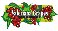 Valeriana Grapes